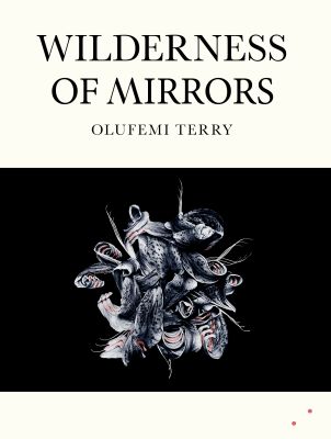 Wilderness of Mirrors