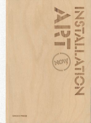 Installation Art Now