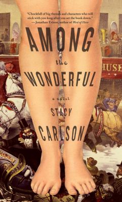 Among The Wonderful