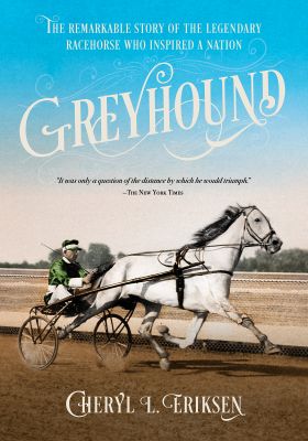 Greyhound