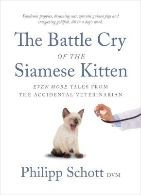 The Battle Cry of the Siamese Kitten