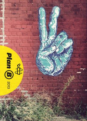 2013 Amnesty Planner