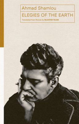 Elegies of the Earth