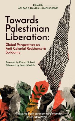 Towards Palestinian Liberation