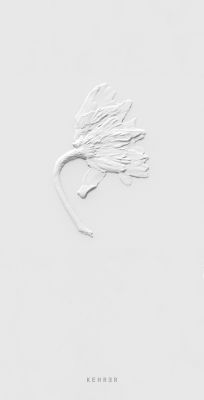 Ephemeral Field Journal