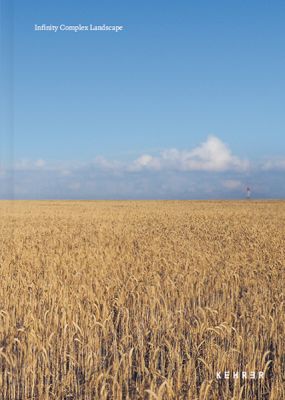 Yoshie Itasaka: Infinity Complex Landscape