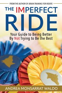 The Imperfect Ride