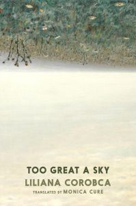 Too Great A Sky